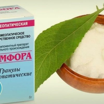 Камфора: Гомеопатический спасатель при критических состояниях