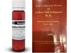 medorrinum_grimmer